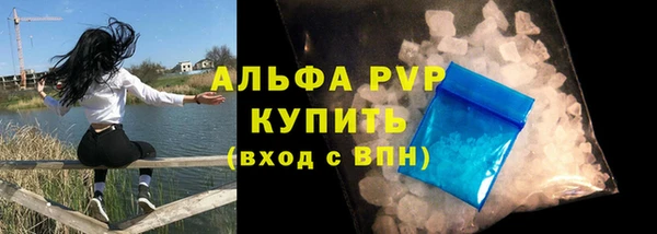 трава Абаза