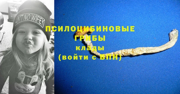 трава Абаза