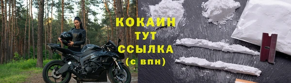 трава Абаза